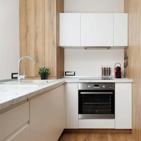 아파트 Skylark - Amsterdam With Fireplace & View 브라쇼브